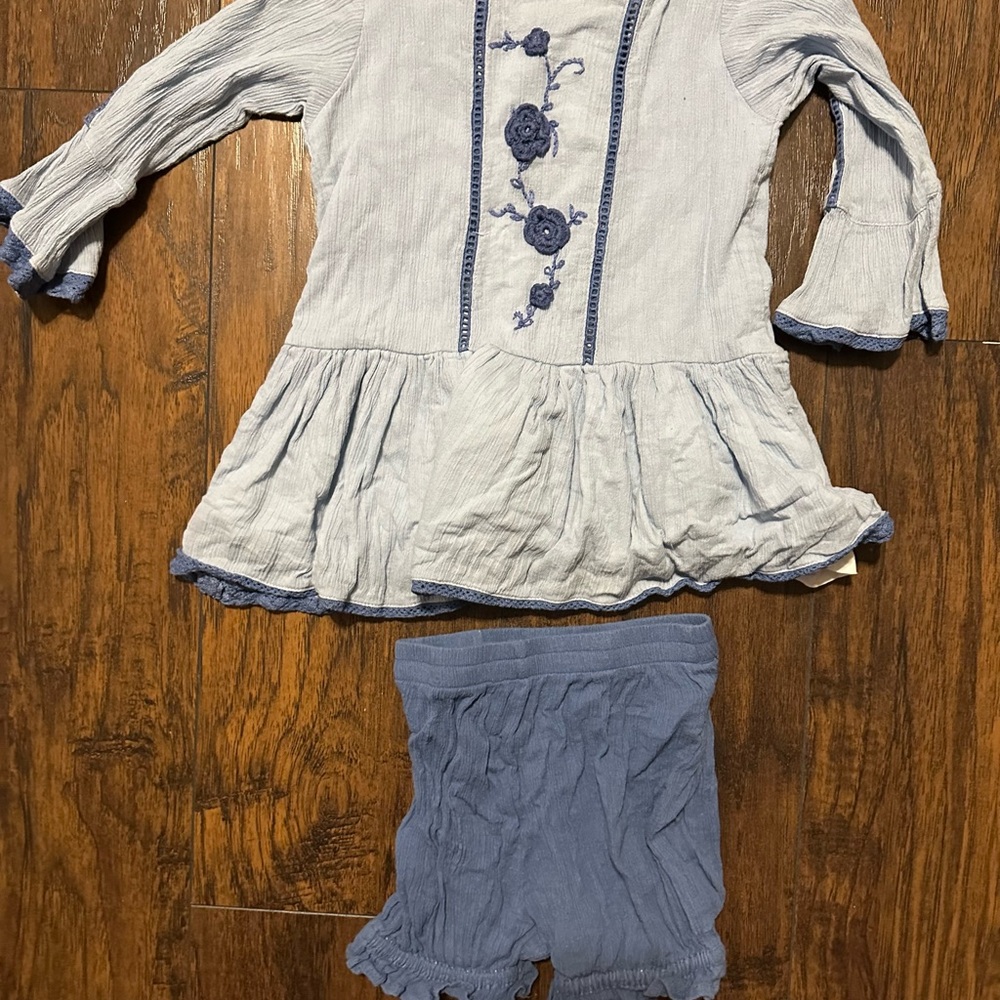 Well Dressed Wolf Blue Embroidered Dress and Shorts Set